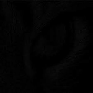 Meet your Posher, Vincent